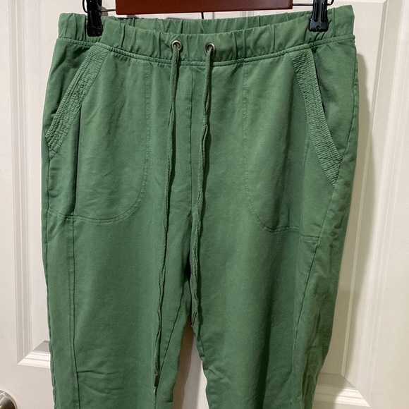 Anthropologie Saturday Sunday Dylan Joggers EUC - Picture 5 of 14